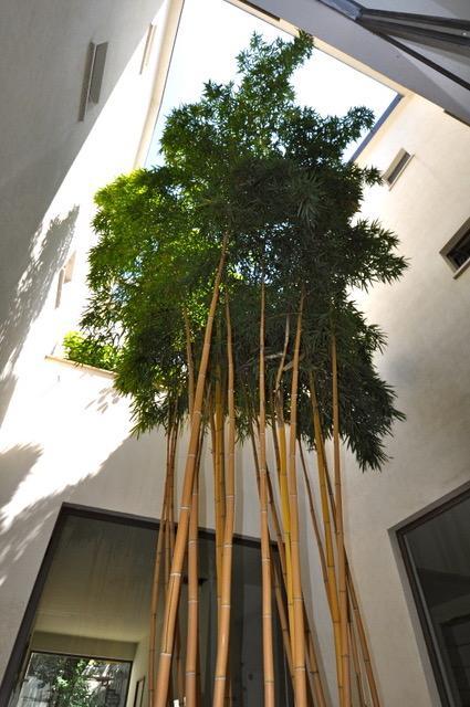 ميلان La Dimora Residence المظهر الخارجي الصورة